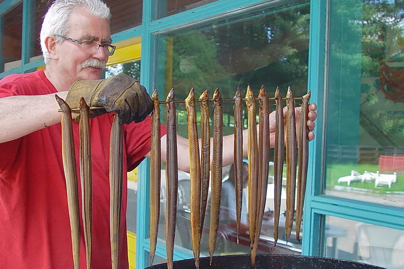 pui1ifahpd6ol2noyvwyjwhaw 2013 08 15 palingroken