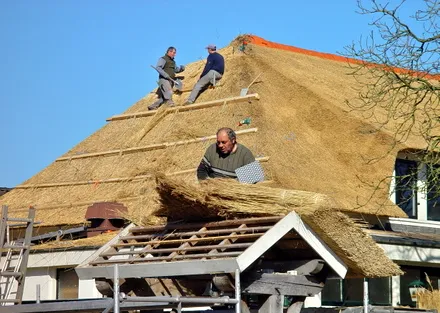 q1qa3u7xql47wdvdn4ziqrlou 52550