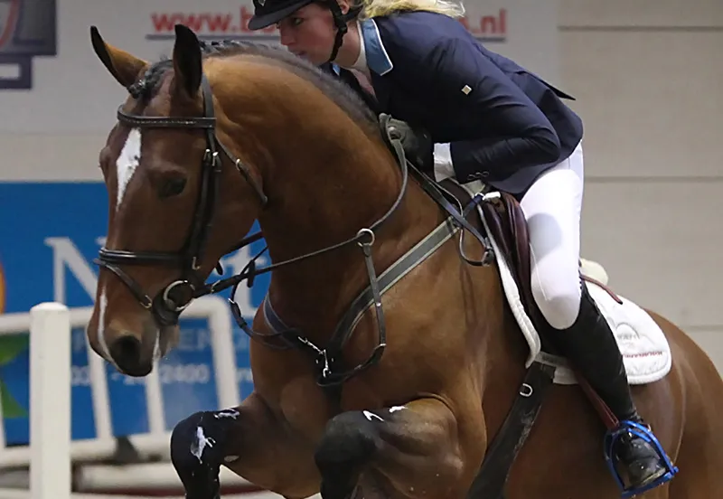 qgg7pr58rg9k4yoxv81salle7 214181