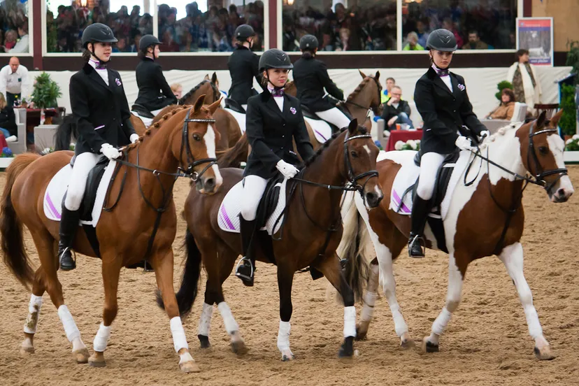 qjsbixehkxjywp25rkiglchgp 2013 08 29 manege kraaij