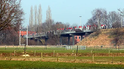 qls0dtpgx71kx5plm6emnngmh 43717