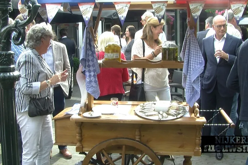 qrg843seucl19wb4k2vv35igd 2014 06 17 haringparty hoevelaken