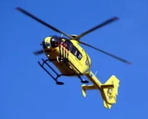 rnx8oq83p04qjejn7w4fbzuvm 154852