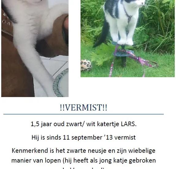 rz7obwvc7ah0c1as1gce1swtj 2013 09 16 kat vermist