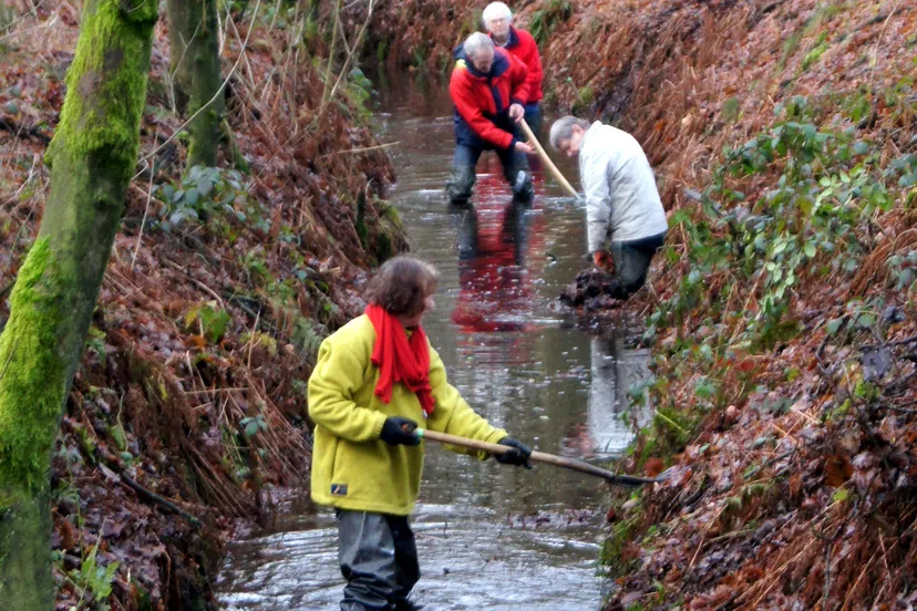 s03gb3muyi1c8oyy5x7lqj73e 2014 10 02 vrijwilligers helpen bij het schoonhouden van de beek