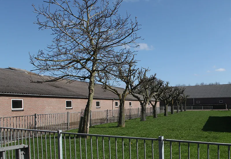 s1habssgsiywuysm7ty5w6fcq 226727