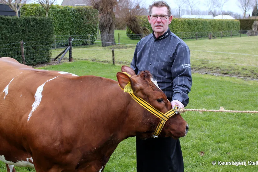 s46fuhq6v85vvuitwxo7g26o5 img8410