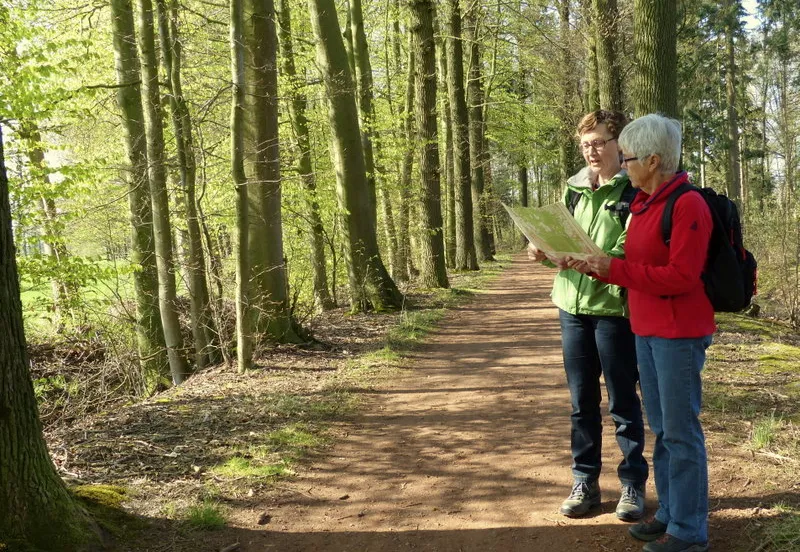 s9t1p2919gvpkloeqk79f1nf0 230863