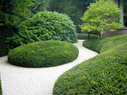 sasg3hzsu65q7hdwxtb9h0xuk 178362