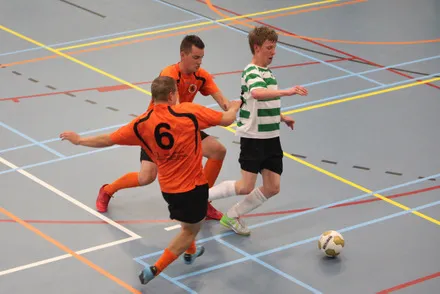 sear9jirp96tl2x5x44jf1keo 89628