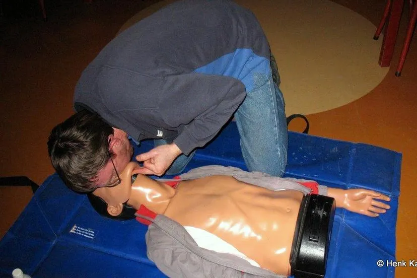 shfbs6h3gwzf5kyavce5kqb0y 2014 01 30 reanimatie 004