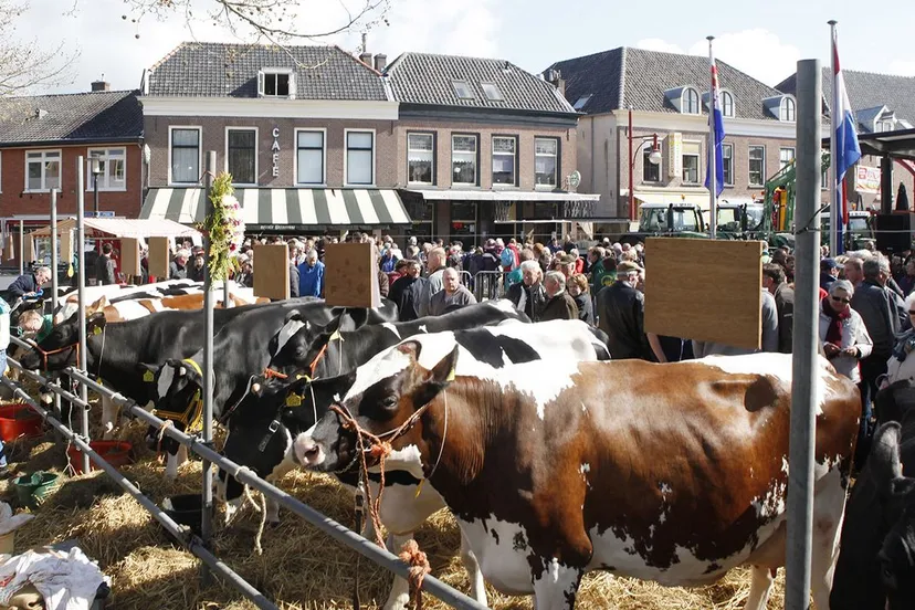 standaard nijkerk boerenmaandag