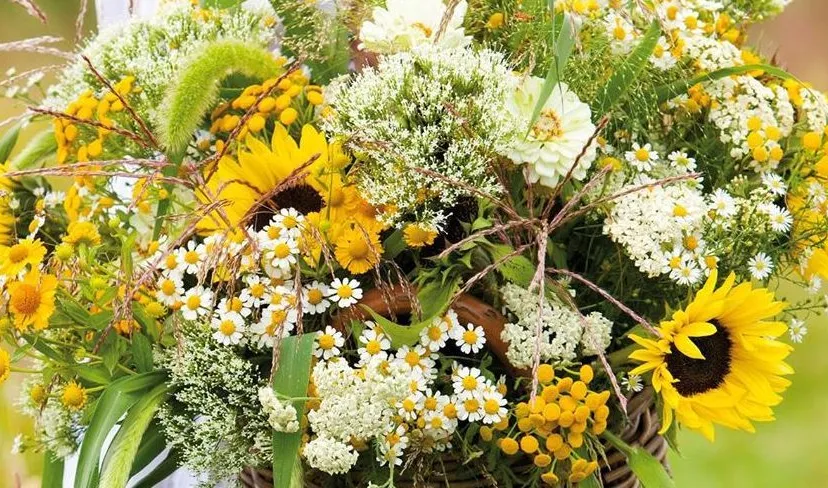 standaard nijkerk los zomerbloemen