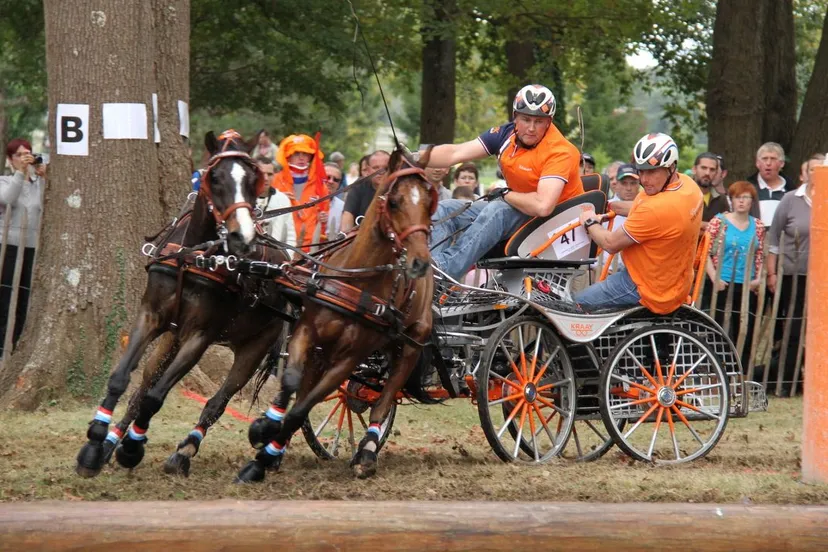 standaard nijkerk sport ewoud boom