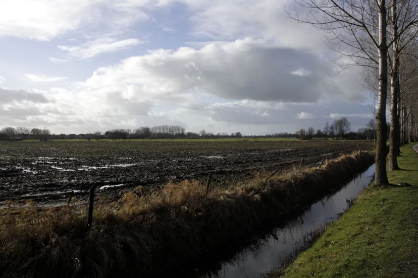 standaard nijkerk van alles doornsteeg