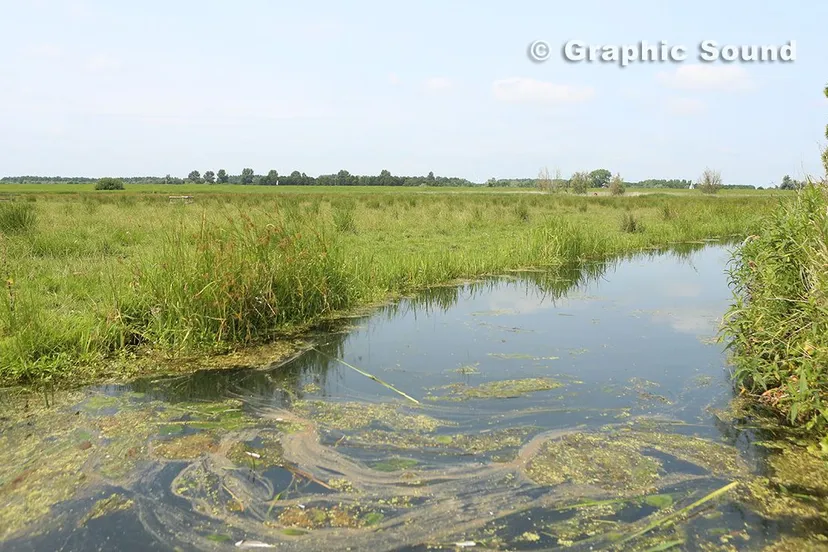 standaard nijkerk van alles polder arkemheen