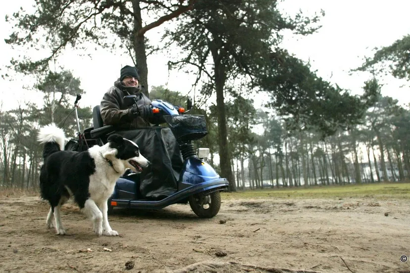 t1se4d2qzztmdehonizh1wiuw chronisch ziek 2