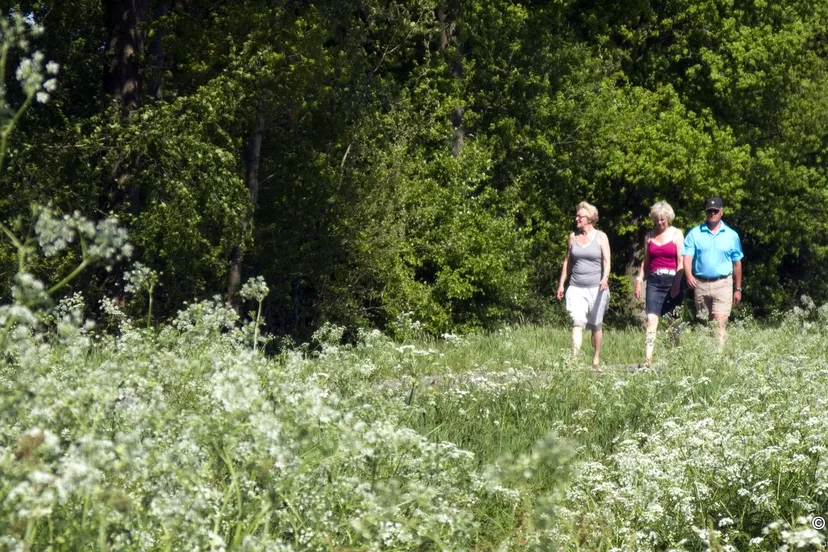 tde8y3r0l1sbht7mufkkpjjz7 wandelen