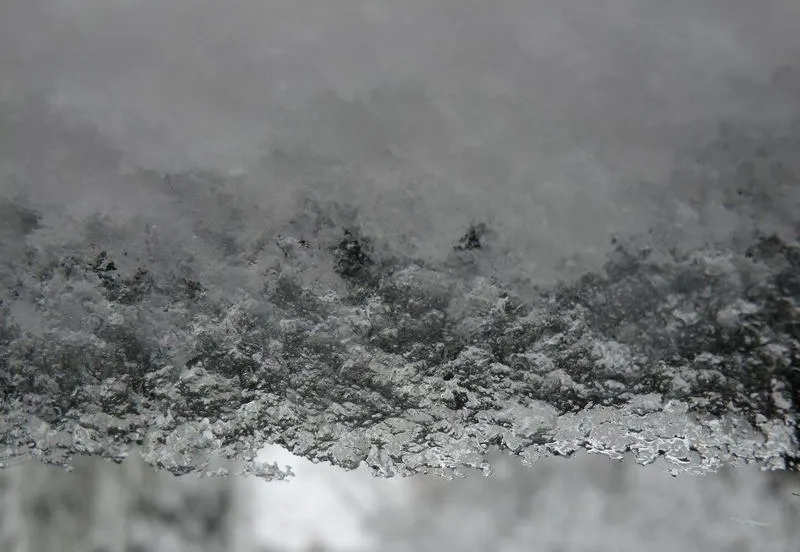 tm388q6xj57x0xseo2wlipb88 193821