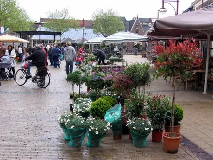 u5bz3oln55o1r94uzu3fclzoy 59481