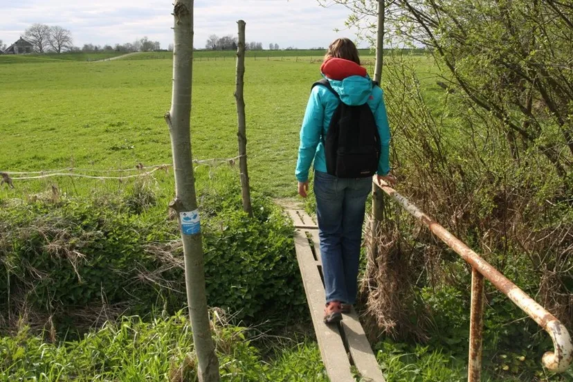 uhmsucp6vrbuh1bpdgvdv8p5v 2014 03 06 tuylermarkerpad april 2012 029a