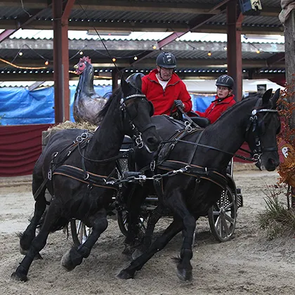 uj3t76lo3gsj8bhcowk1yh1r1 96117