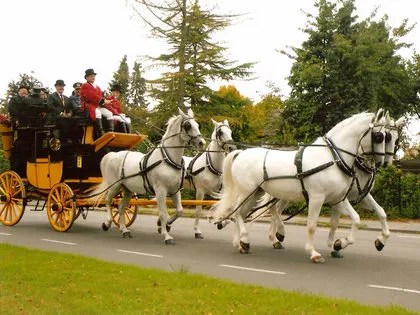 uyeudtlkavdcyzajkzkxxvo6n 42691