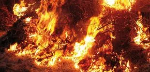 vcd0wum9jooio1acaovfm8ql9 56784