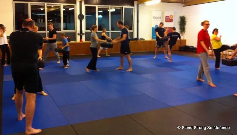 vcwi9v8zll7qu7pismf5gnu45 2014 01 18 stand strong self defence workshop