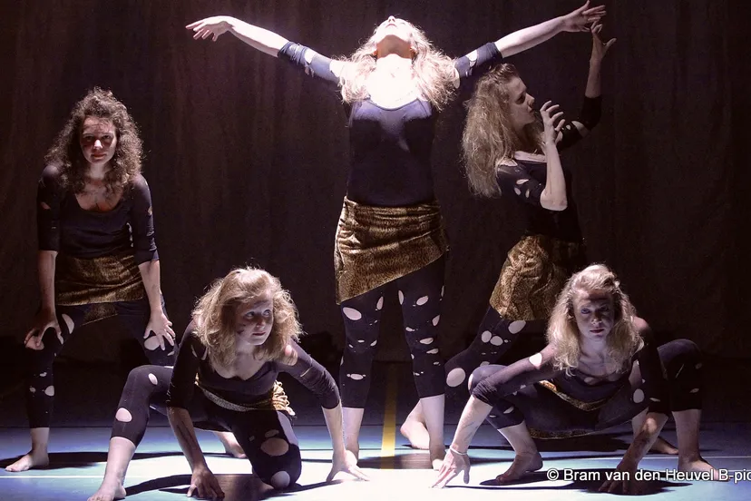 vj5bmp5pg639sm9xfxm69om4u 2014 07 14 hellas circle of life jazz tot 30 jaar