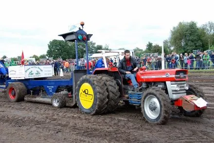 voygpv2t8g37e693jz4n83uue 65734