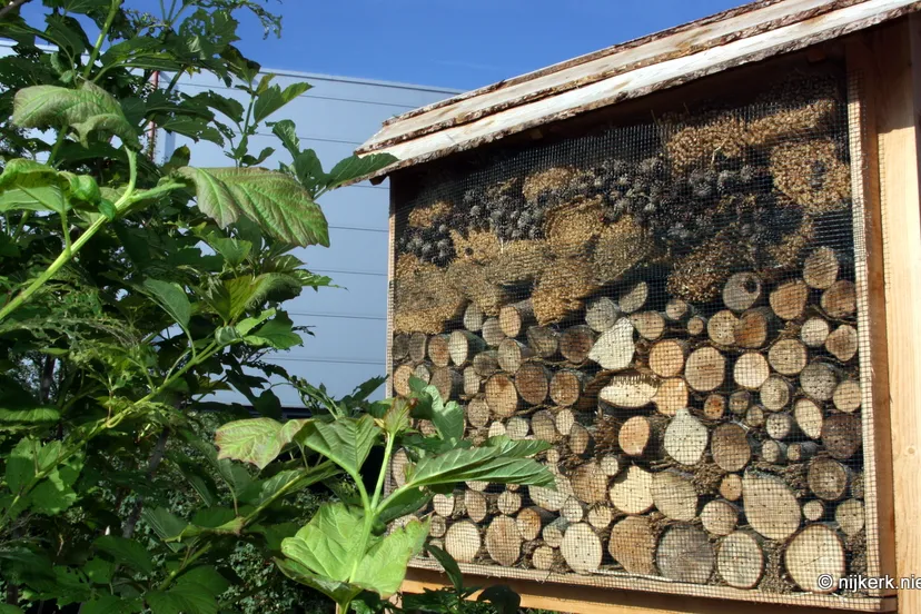 vwo78omqcc98jef21af2drp2c 2014 06 13 bijenhotel accent 1