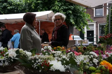 w1htkjeha3s404b8l35zy11vd 69137