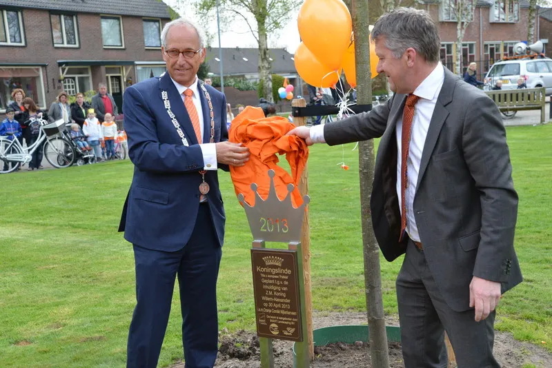 w3b6cq4mtan31rdp3rqwkfiu3 2013 04 30veensche boys koninginnedag 2013 boom1