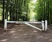 w6sgyh66nfdl2a0mnj7d1tgjx 27599