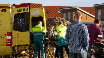 w8061rz1vkxyrpn9je40tj4q8 52735