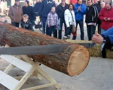 wcd9s2nkwsaezn44u051pgg1m 215007