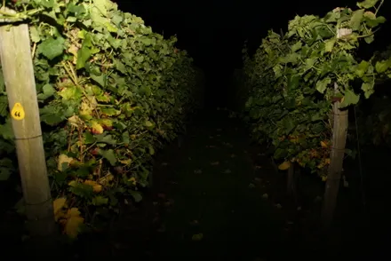 wjqo98zk3qmbo03ahhzemlkia 180594