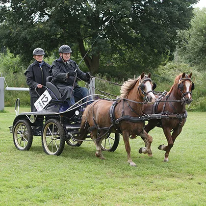 wlktc6w32ijkh4x88b7e1axbm 74348