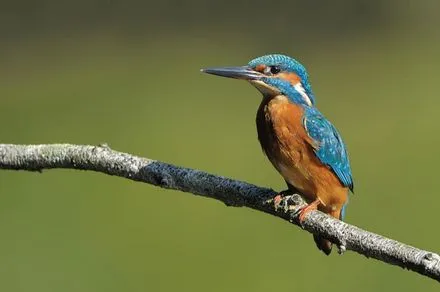 wn96ufztvpzqqd6wmjy7bhvkg 134666