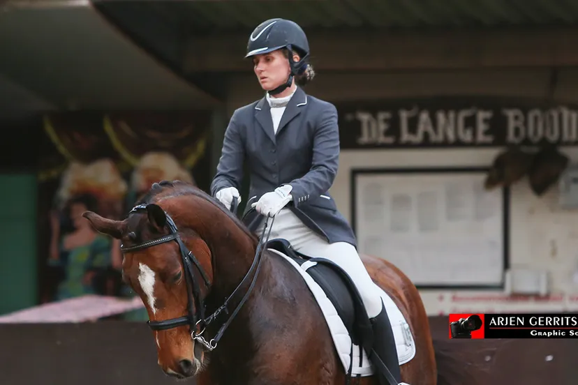 wsupa8ywi96dlha22mfqcqifj 2014 10 25 paarden 004