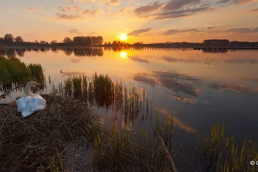 wzhaoiismoqjrkyk0zcngawdr 2014 06 21 polder 1