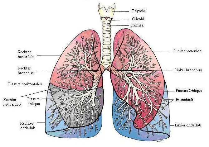 x59c6a59upynq7nkdr5zcgu1a longen