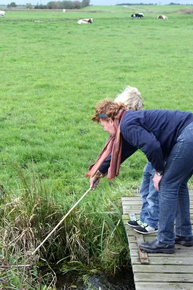 xa884pmqxxv680j7rghwu5d79 29919