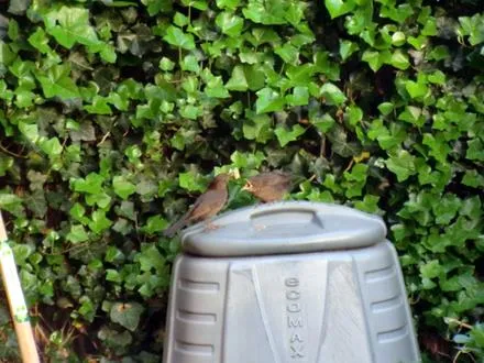 xeyc51z4bxby5gp7p2khqqskf 61279