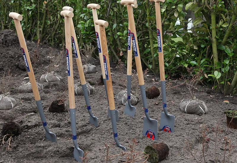 y6v62sonzzypodkpnvhwame7y 219636