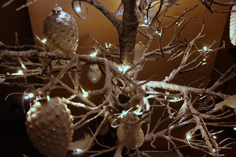 ya0laft70hy70vxyjjeg33gd2 kerst 12