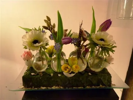 ykxnlwqcqsp5hf08oigzeanhq 129555