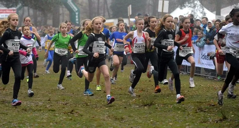 ym26igzq43vddqo743m9nfb5x 191411