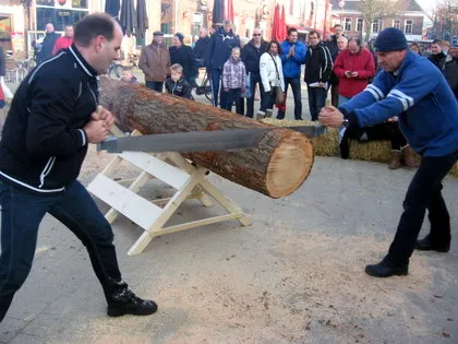 ymgcx8a3zo3d7ebt0ncz42luy 43791